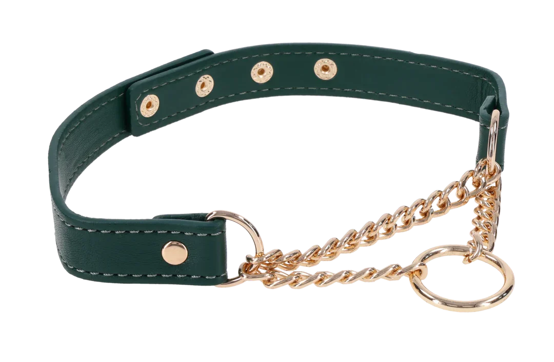 Indica Day Collar