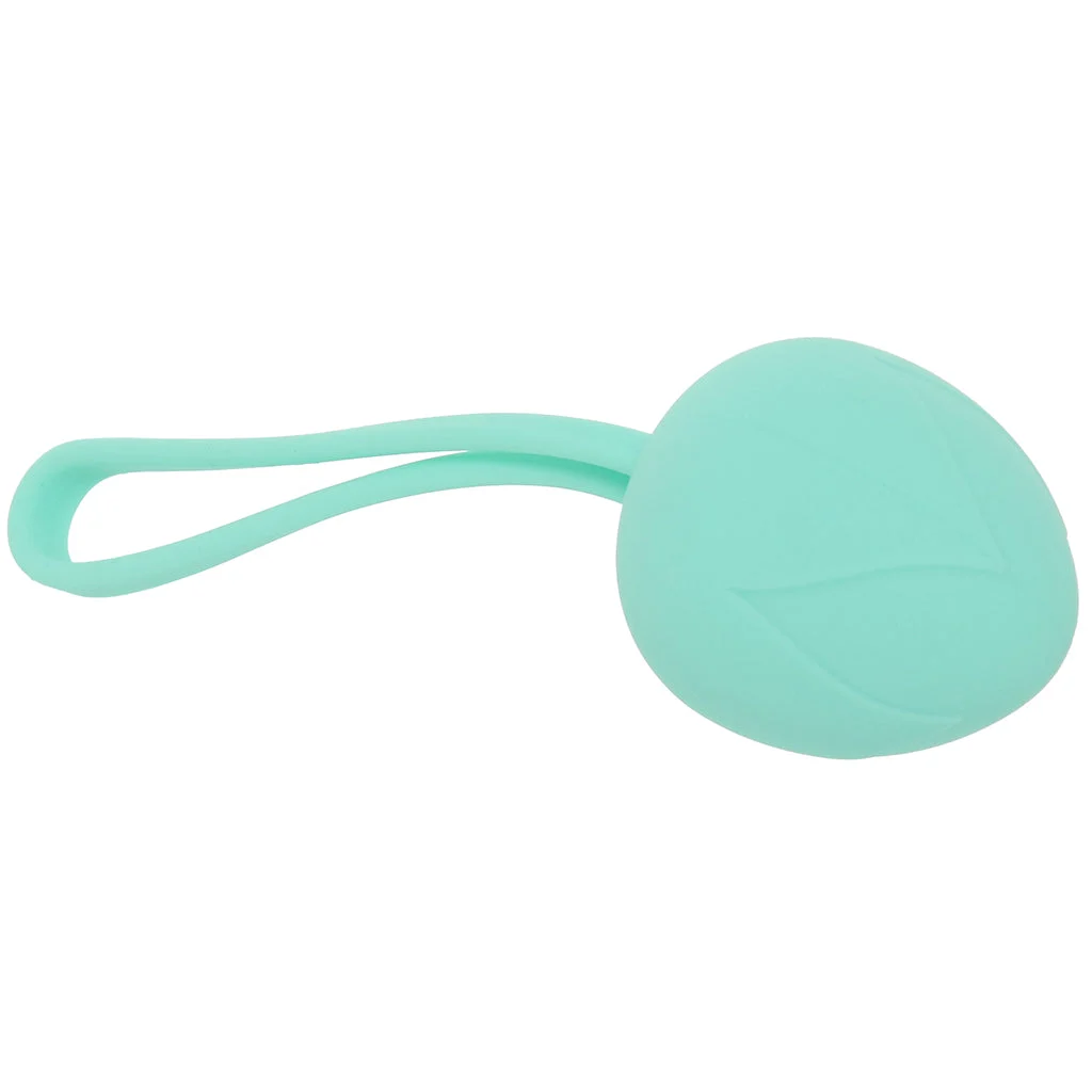 Loveline Pelvifit Berry Kegel Kit – Image 2