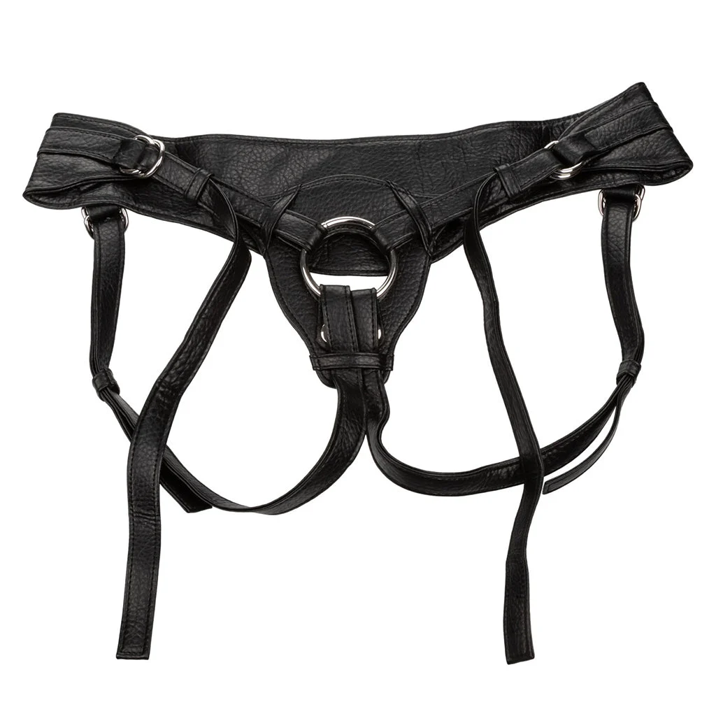 The Queen Her Royal Harness – Image 4