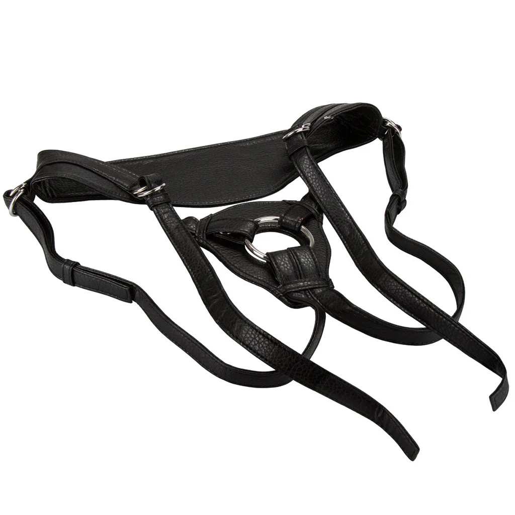 The Queen Her Royal Harness – Image 3